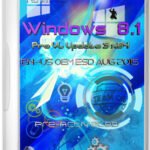 Windows 8.1