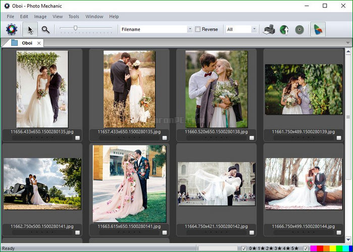 Photo Mechanic 6 Download