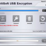 GiliSoft USB Stick Encryption Download