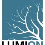 Lumion Pro 8.0