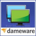 DameWare Mini Remote Control Download