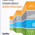 DameWare Remote Support Download