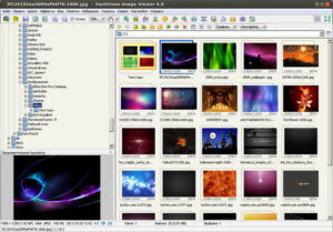 FastStone Image Viewer Download