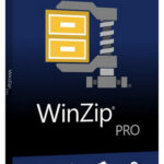 WinZip Pro Download