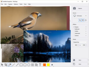 Download WinSnap - Capture Perfects and Edit Quickly