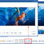 ILike Video to GIF Converter