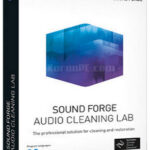 MAGIX SOUND FORGE Audio Cleaning Lab