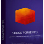 Download MAGIX Sound Forge Pro