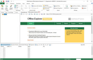 MetaProducts Offline Explorer Enterprise Full