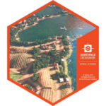 Download Substance Designer 2019 Full