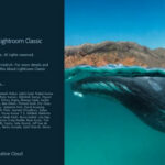 Download Adobe Photoshop Lightroom Classic