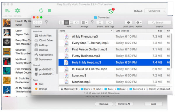 AppleMacSoft Easy Spotify Music Converter Full Version