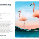 Adobe Photoshop 2021