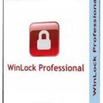 WinLock Professional