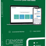 Enigma Recovery Professional