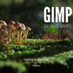GIMP Pro