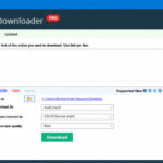 8K Video Downloader Full