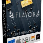 Fat Sound Records Flavor