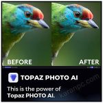 Topaz Photo AI Download