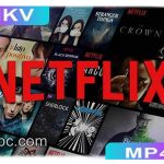 Pazu Netflix Video Downloader