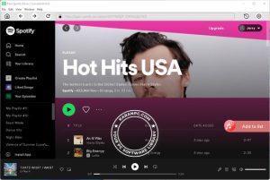 Pazu Spotify Music Converter Download