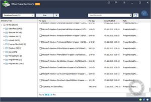 Wise Data Recovery Software Download