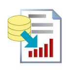 Reportizer