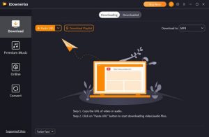 iDownerGo for Windows