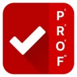 ProfExam Simulator