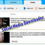 Social Media Downloader