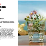 Adobe Lightroom Classic 2026